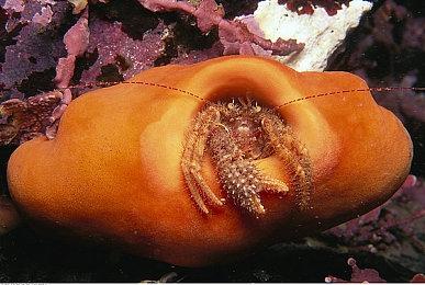 游戏《悬浮模拟器》1月25日发售 支持简体中文